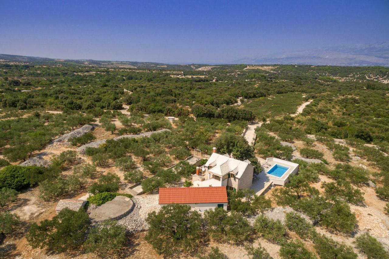 Villa Dubrava Tranquil Retreat Nestled In An Olive Grove For Serene Escapes Pucisca Zewnętrze zdjęcie