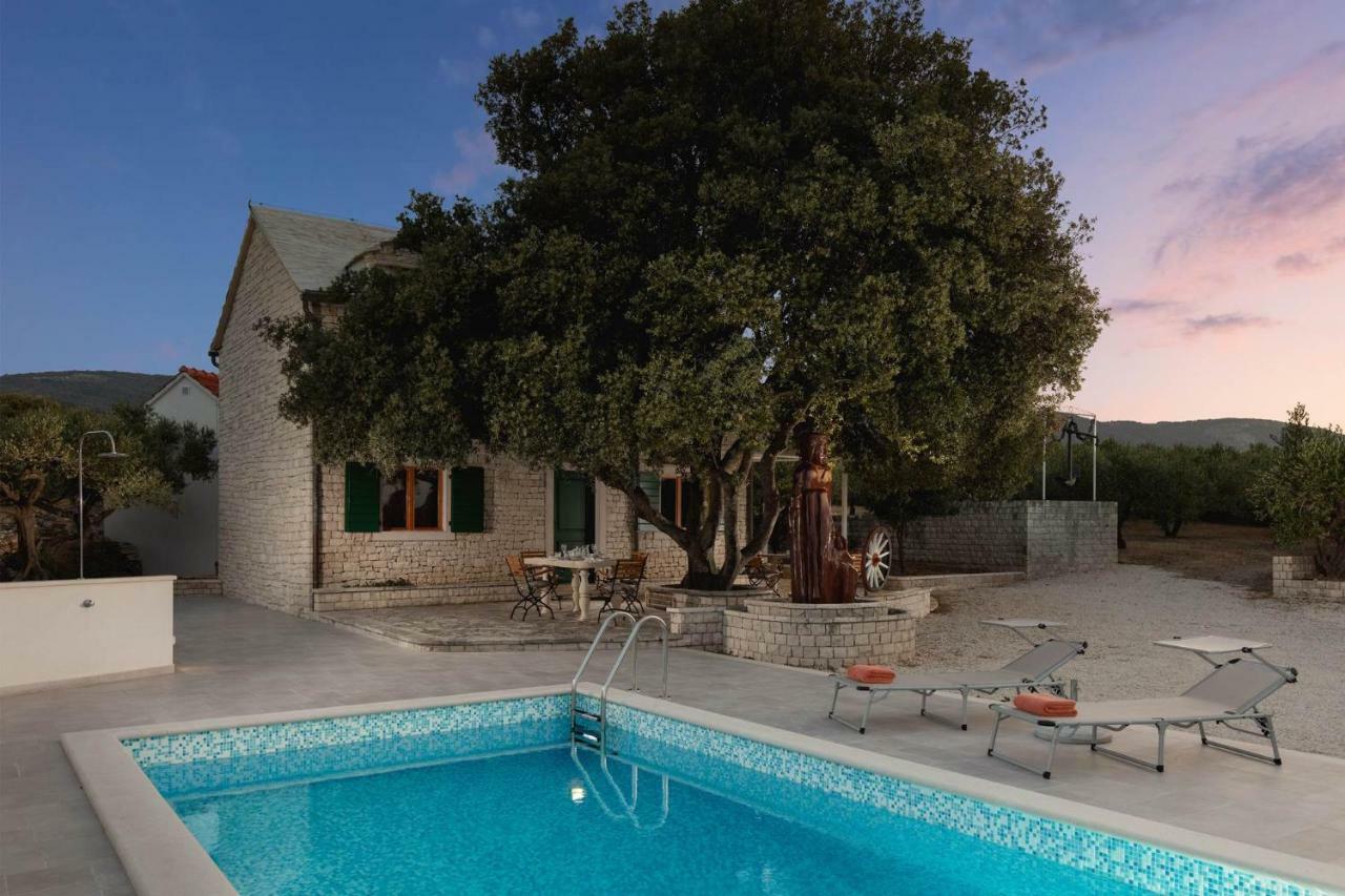Villa Dubrava Tranquil Retreat Nestled In An Olive Grove For Serene Escapes Pucisca Zewnętrze zdjęcie
