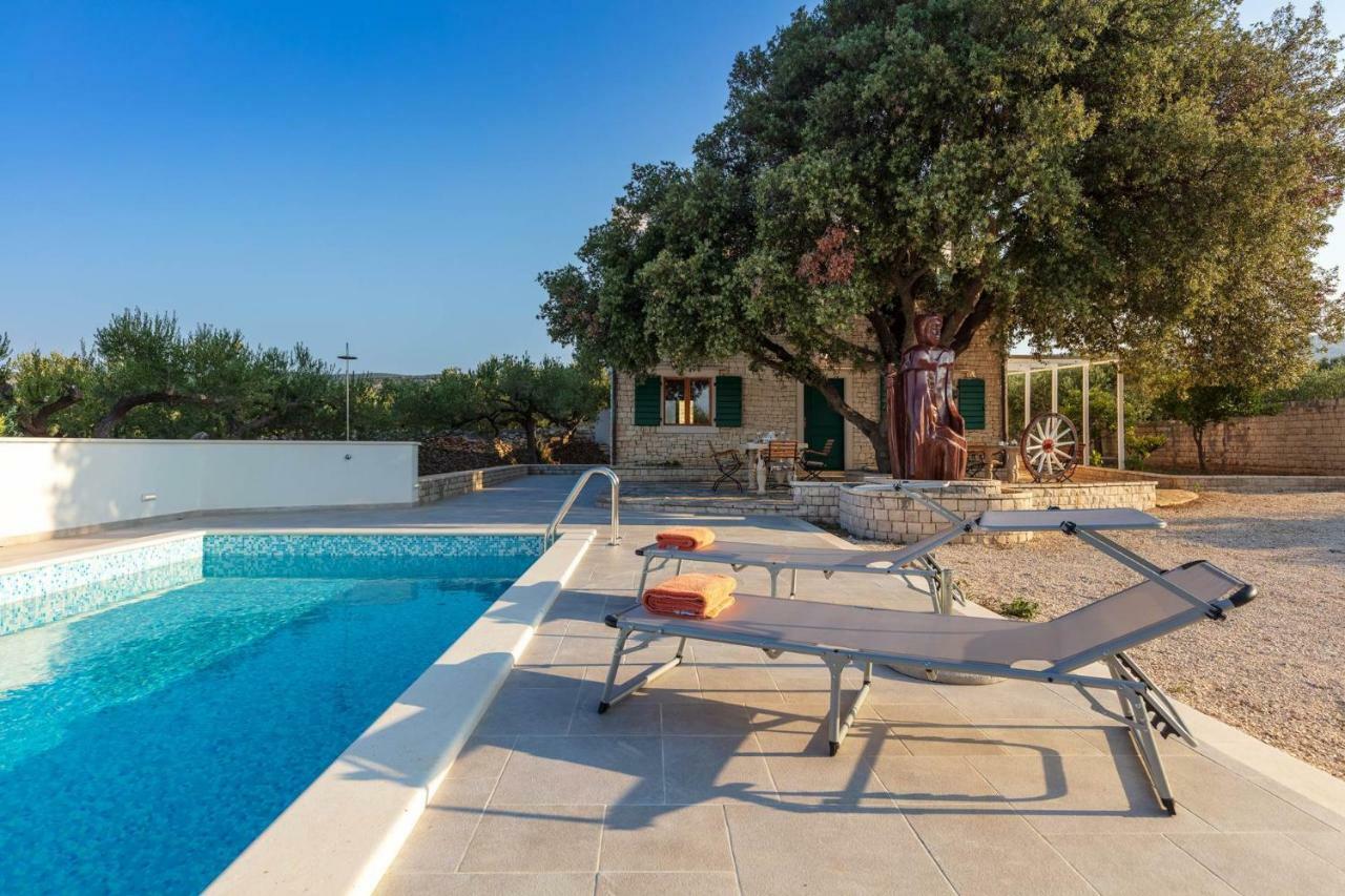 Villa Dubrava Tranquil Retreat Nestled In An Olive Grove For Serene Escapes Pucisca Zewnętrze zdjęcie
