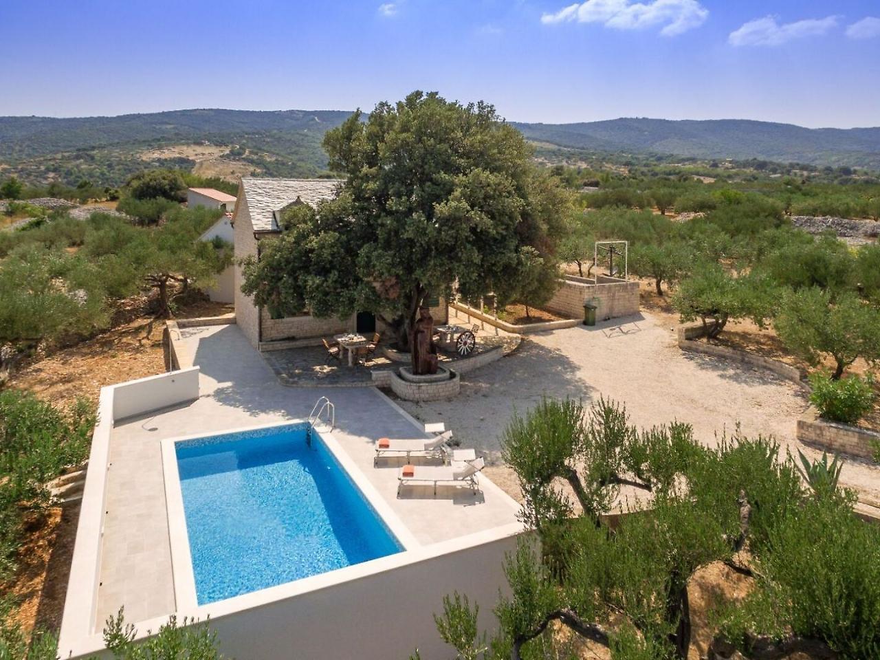 Villa Dubrava Tranquil Retreat Nestled In An Olive Grove For Serene Escapes Pucisca Zewnętrze zdjęcie